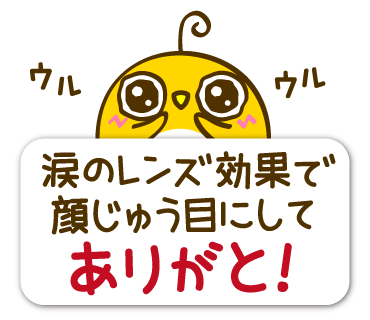 ton 2 moon コットリーノ 12月1月