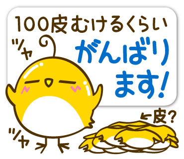 ton 2 moon コットリーノ 12月1月