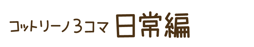 ton 2 moon コットリーノ 英語