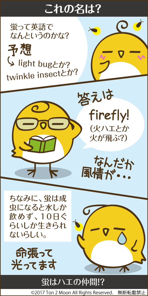 ton 2 moon コットリーノ 漫画