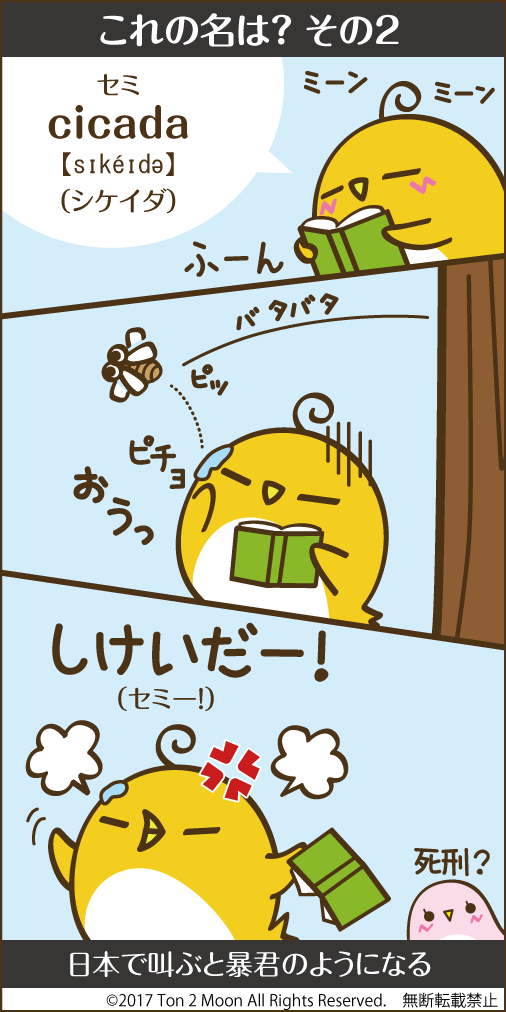 ton 2 moon コットリーノ 漫画