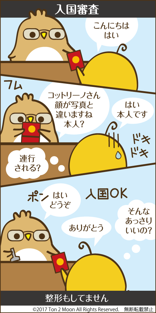 ton 2 moon コットリーノ